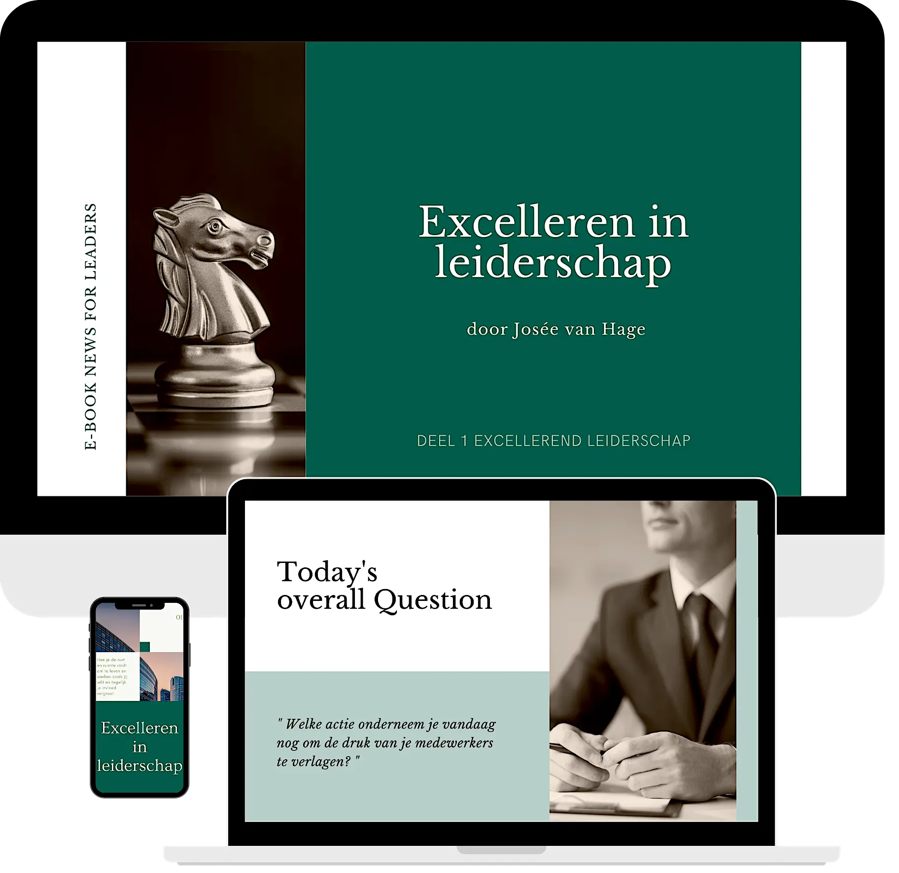Sermone ebook Excelleren in leiderschap