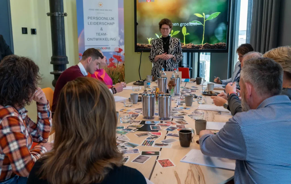 coaching in organisaties - samenwerking en cultuurverandering